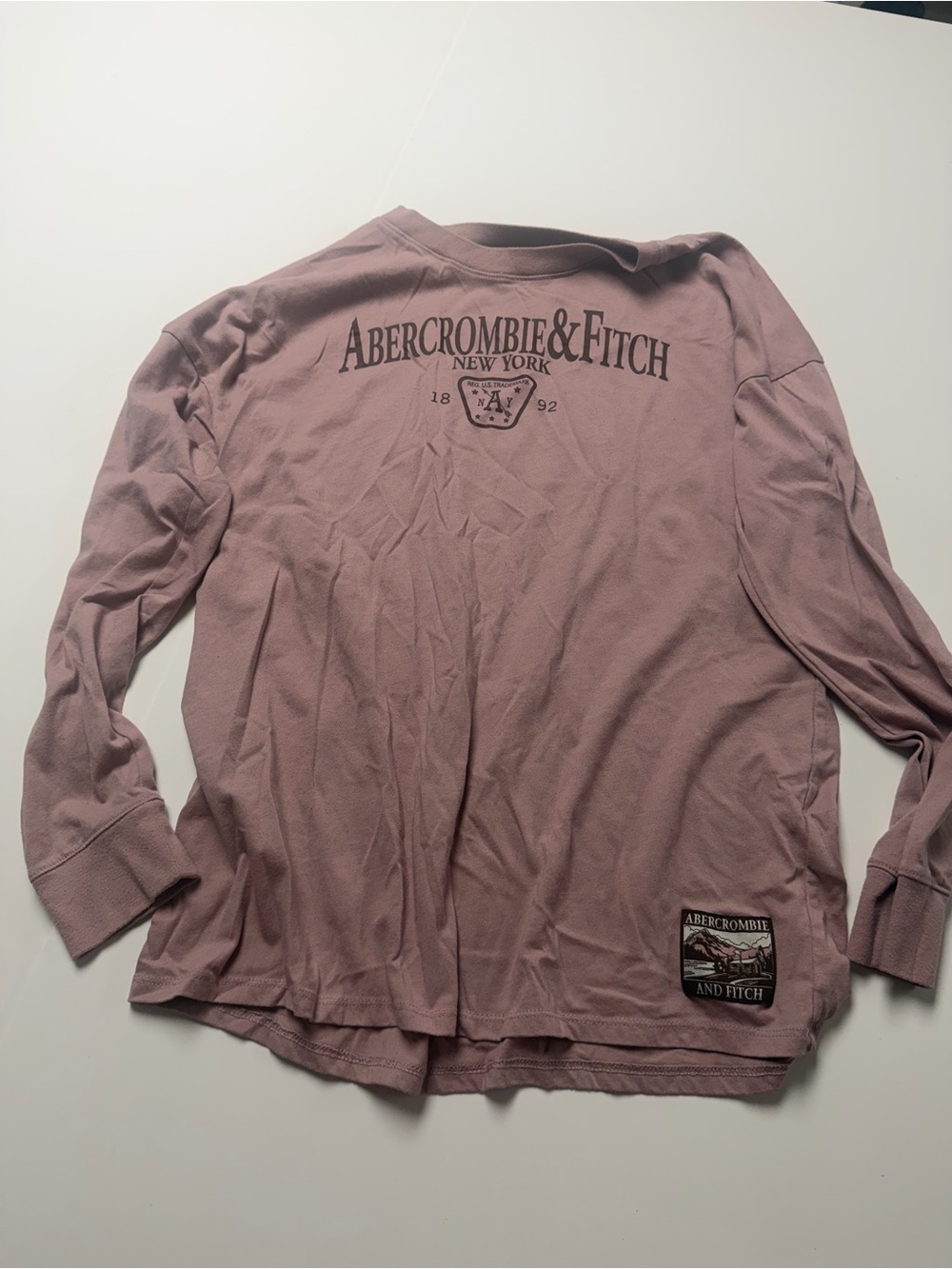 Abercrombie & Fitch Kids Long Sleeve Logo Tee - Mauve